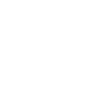 S38